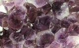 Large, Amethyst Crystal Cluster On Metal Stand - Uruguay #80745-4